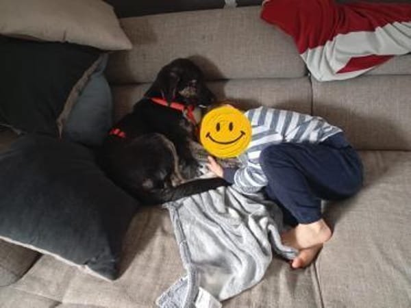 Süßes Welpenmädchen