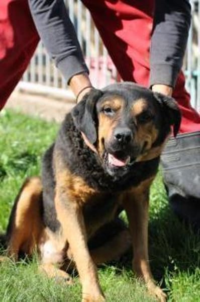 Mac - besonders lieb u. angenehm