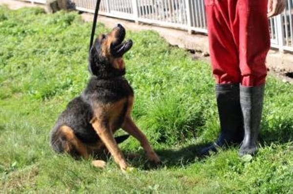 Mac - besonders lieb u. angenehm