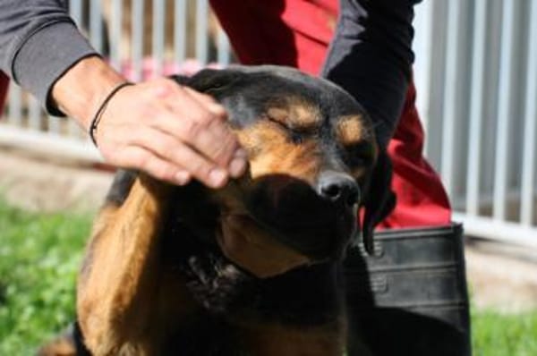 Mac - besonders lieb u. angenehm