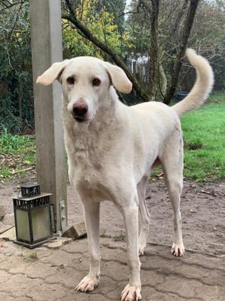 Orkun sucht geduldige Menschen