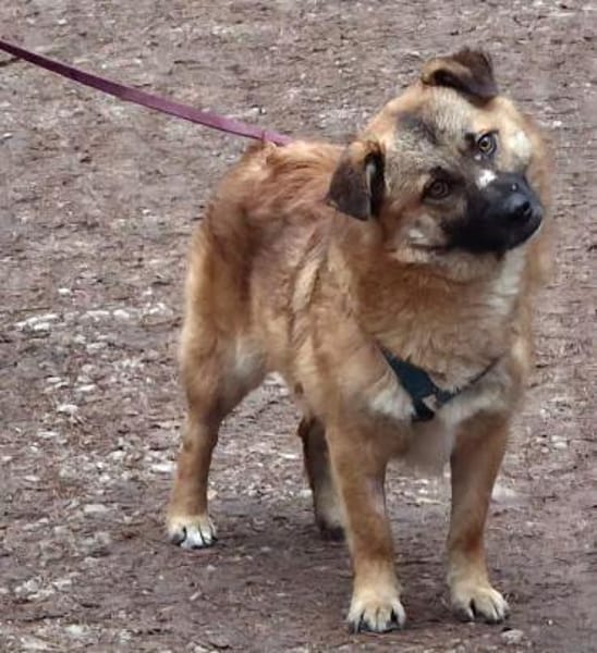 Lenny wartet in Nürnberg!