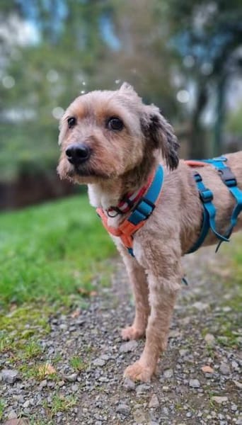 Liv möchte endlich ankommen - bei dir?