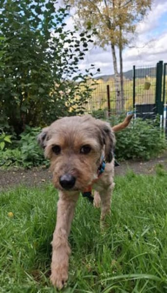 Liv möchte endlich ankommen - bei dir?