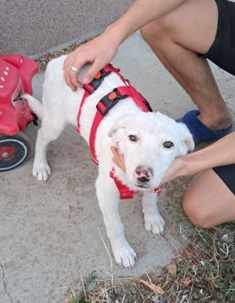 AARON sucht seine Menschen