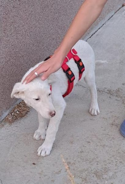 AARON sucht seine Menschen