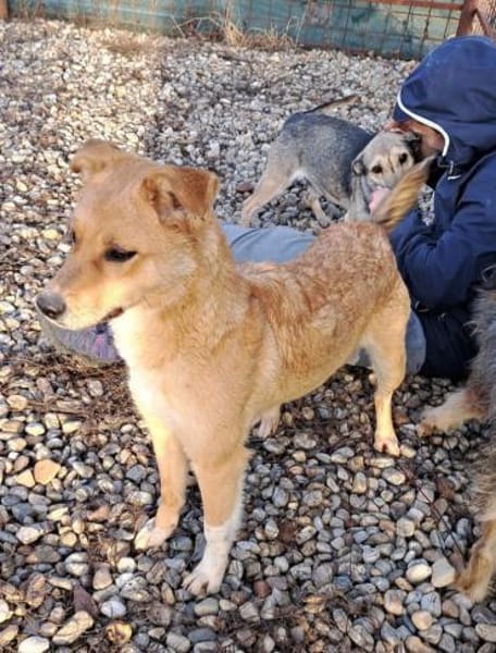 LOTTE - hätte gerne eine Familie