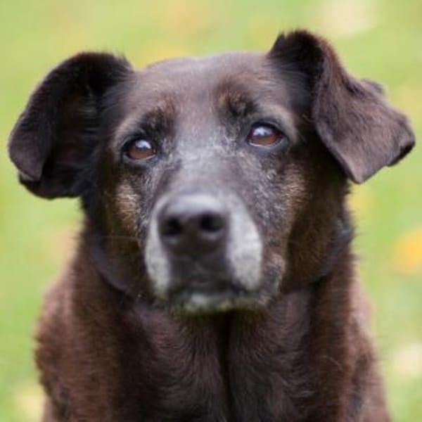 SANA - ruhig&einfühlsam