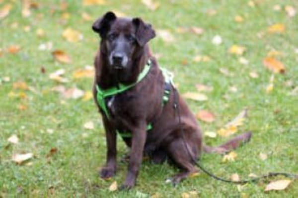 SANA - ruhig&einfühlsam