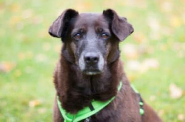 SANA - ruhig&einfühlsam