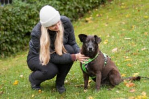 SANA - ruhig&einfühlsam