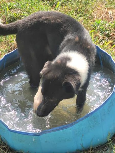 Fidelio - sucht seine( n) Menschen