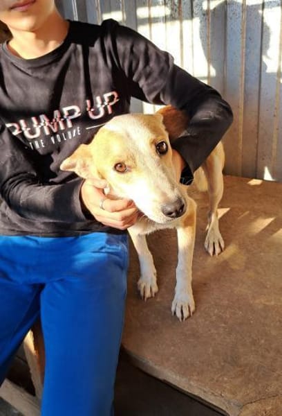 NICO - wird immer übersehen...