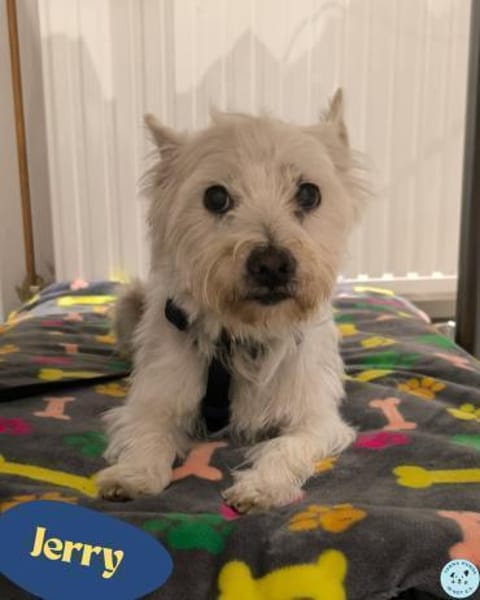 Jerry DE, sucht erfahrene Menschen