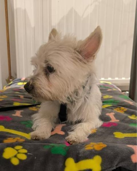 Jerry DE, sucht erfahrene Menschen