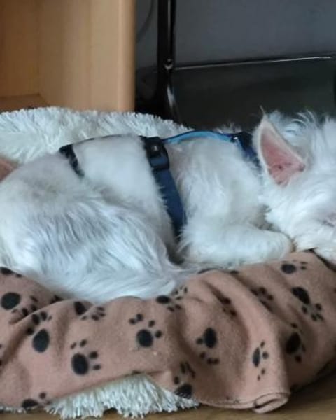 Jerry DE, sucht erfahrene Menschen