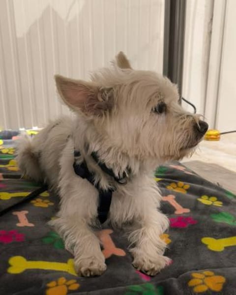 Jerry DE, sucht erfahrene Menschen