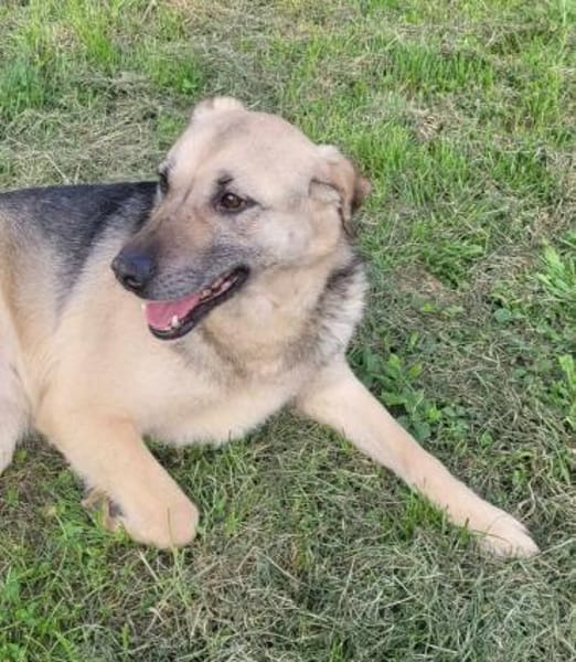 MIRARE - ein Wunder sucht ein Zuhause