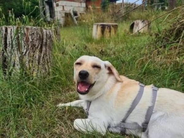 Minimann Eddi sucht seine Menschen