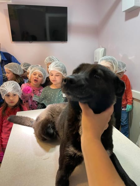 AUREL FLAICU - träumt von einem Zuhause