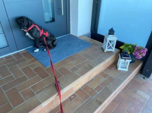 Schenken Sie Axa ihr Traumzuhause?