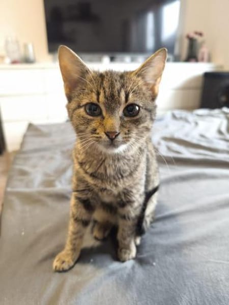 Die kleine Klara sucht ihre Menschen 💕