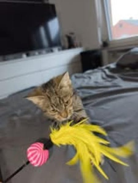 Die kleine Klara sucht ihre Menschen 💕