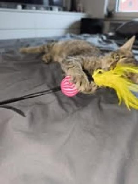 Die kleine Klara sucht ihre Menschen 💕