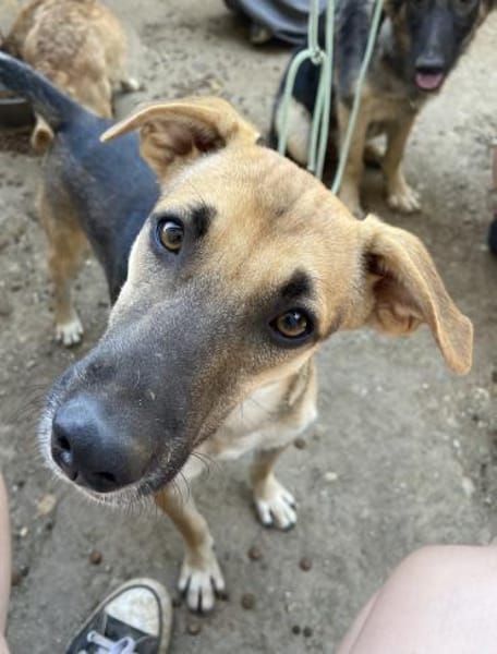 Hier kommt der süße Kalle 🐾