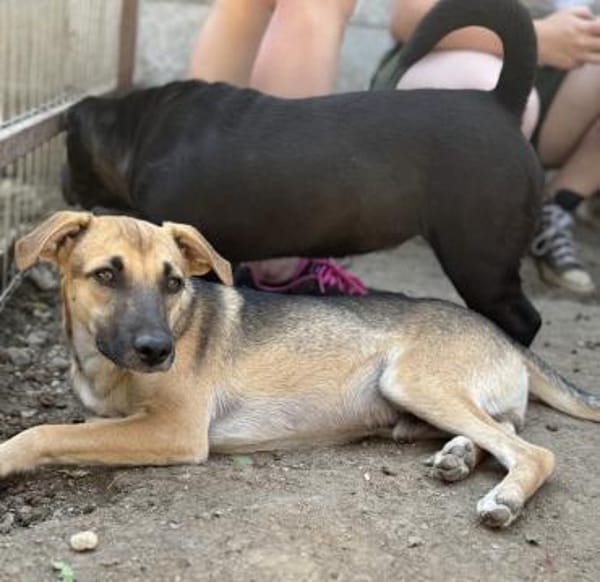 Hier kommt der süße Kalle 🐾