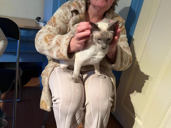 Marshmallow en Skittel