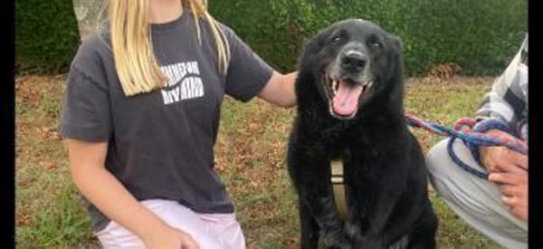 Chico sucht DRIGEND ein neues Zuhause