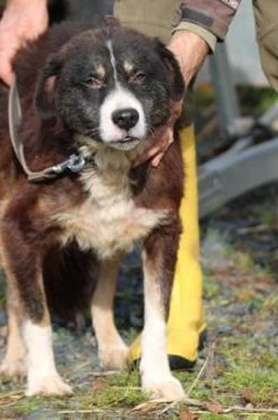 Tayto - zutraulich u. unkompliziert