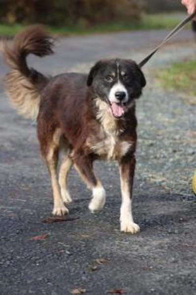 Tayto - zutraulich u. unkompliziert