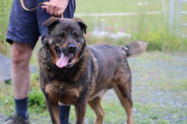 Yona - ein echter Prachtkerl