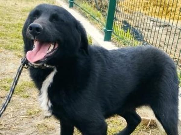 Coco sprüht vor Lebensfreude