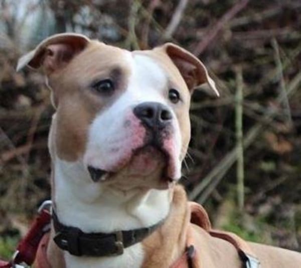 Lucky, aufgeschlossen