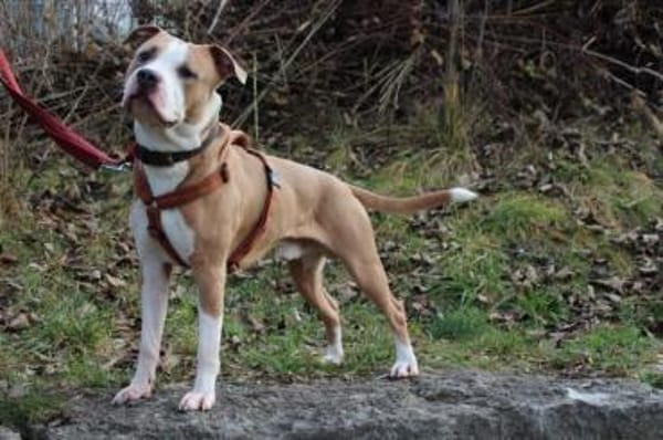 Lucky, aufgeschlossen