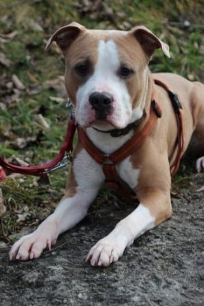 Lucky, aufgeschlossen