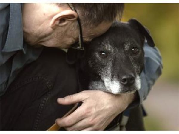 Navara - wartet in 25485 Hemdingen