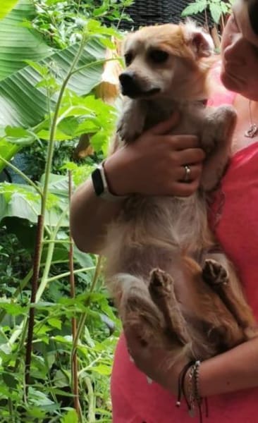 Lotte - gut verträglich - bereits in DE