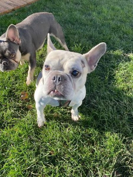 🍀 Becky sucht ihr Glück