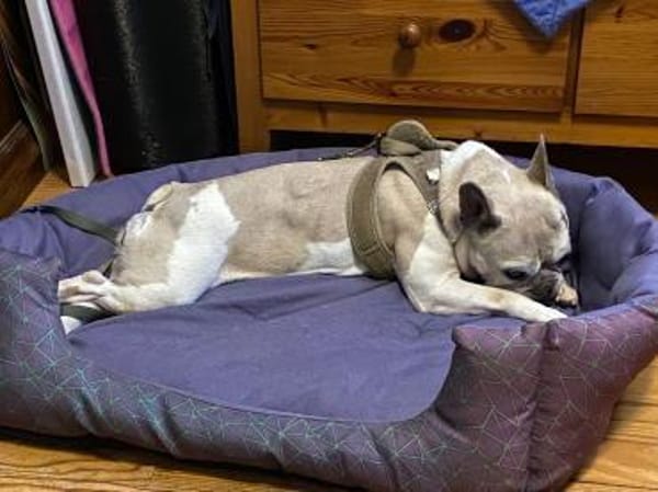 🍀 Becky sucht ihr Glück