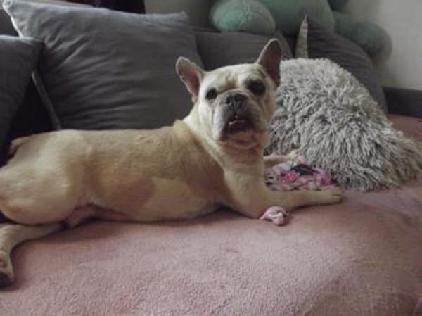 🍀 Becky sucht ihr Glück