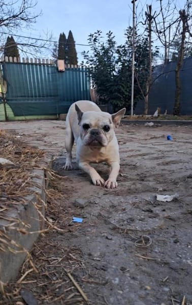 🍀 Becky sucht ihr Glück