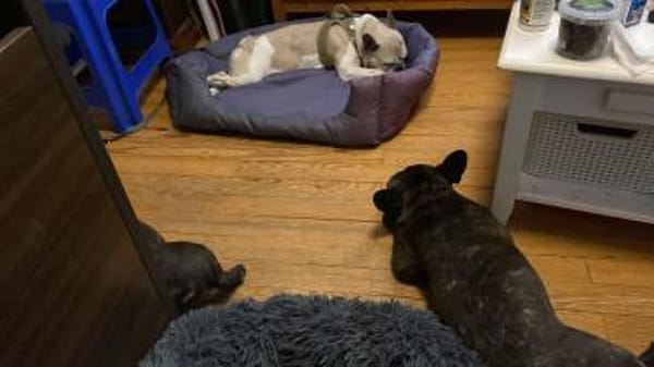 🍀 Becky sucht ihr Glück