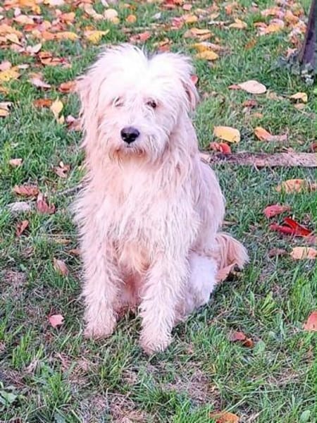 LOCKE -unkomplizierter,sensibler Junghun