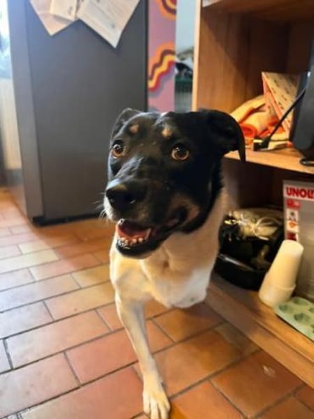 Wunderbare Milly sucht ihr Glück!