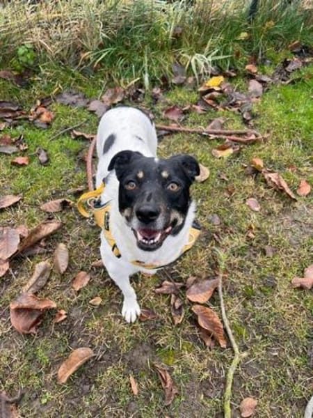 Wunderbare Milly sucht ihr Glück!