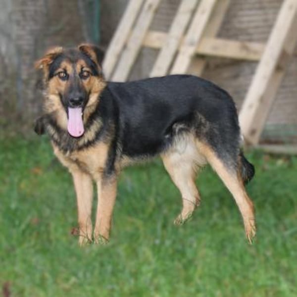 Lucky - Für-Immer-Glück gesucht